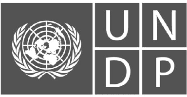 Partner 12